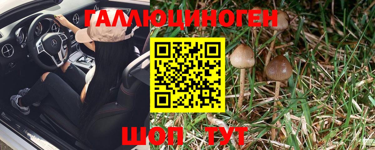 Псилоцибиновые грибы Magic Shrooms Донской