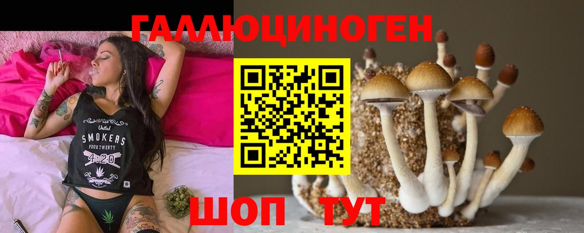 Псилоцибиновые грибы GOLDEN TEACHER  где купить наркоту  Донской  Галлюциногенные грибы Psilocybe  Вход с VPN 